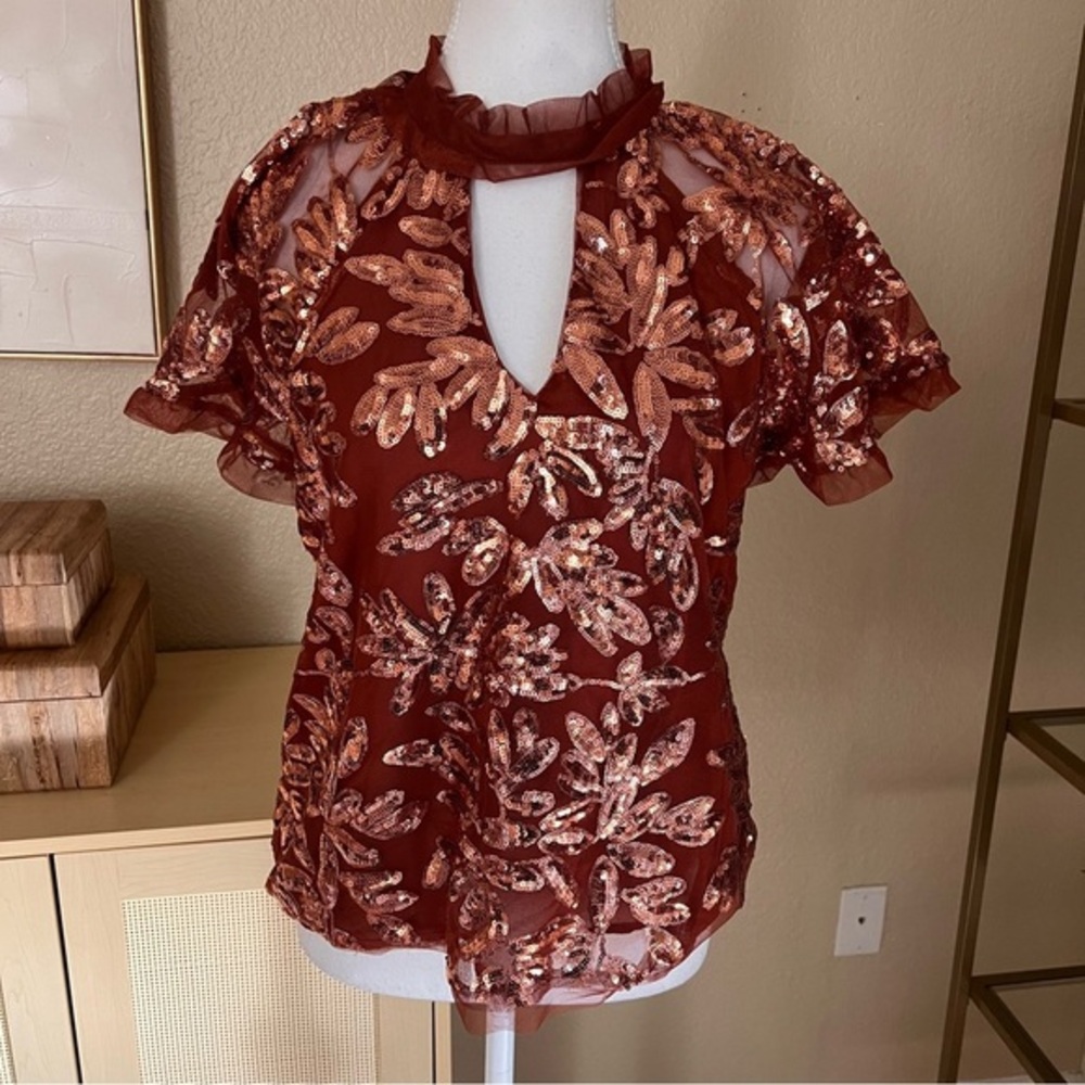Anthropologie Sequin Embellished Top in Rust Flare Sleeve Size XS - Picture 4 of 11